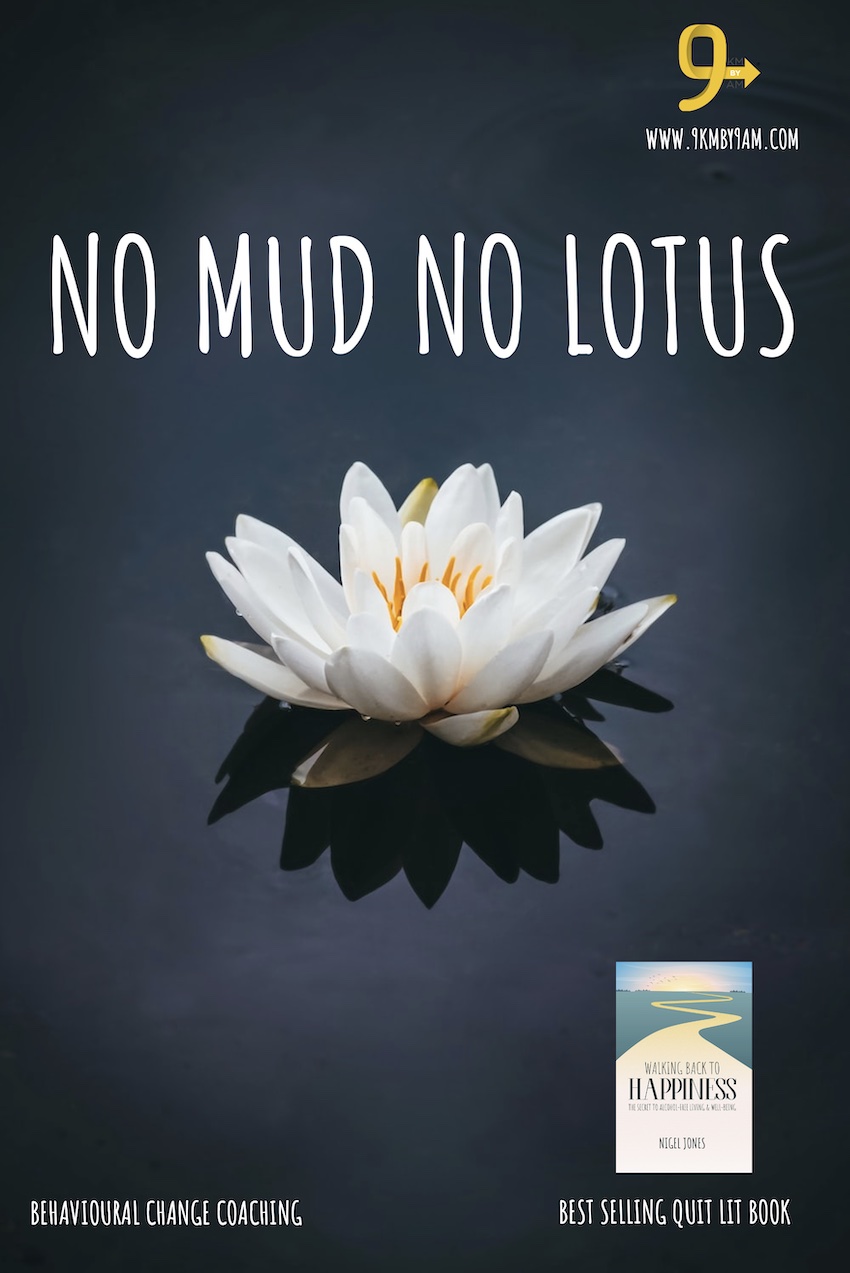 NO MUD NO LOTUS